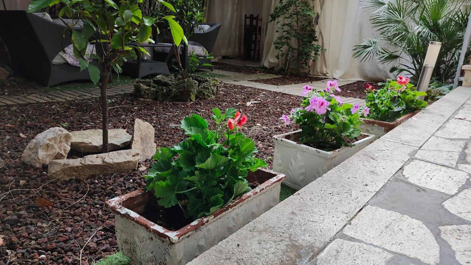 Home Garden Rome Casa Kangen Roma Exterior foto